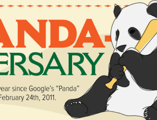 Primo anniversario di Google Panda [Infografica]